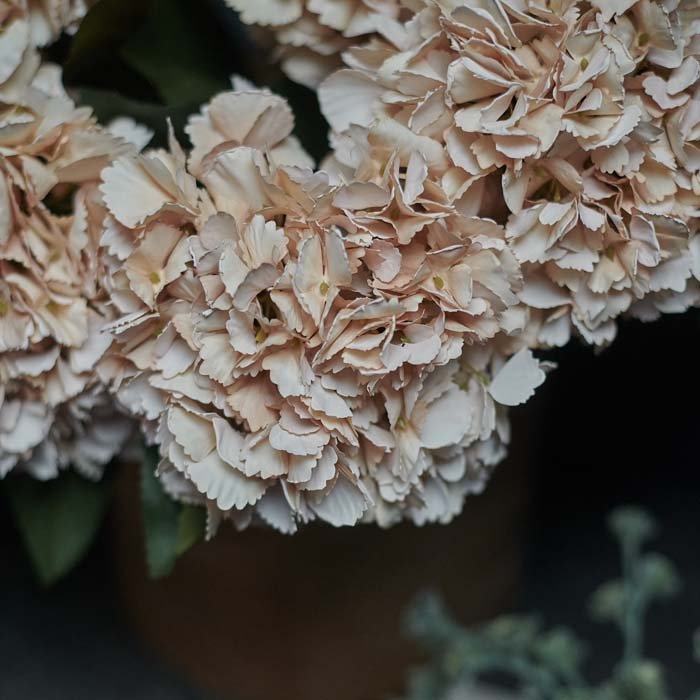Artificial hydrangea vanilla faux fake flower closeup botanical realistic Abigail Ahern
