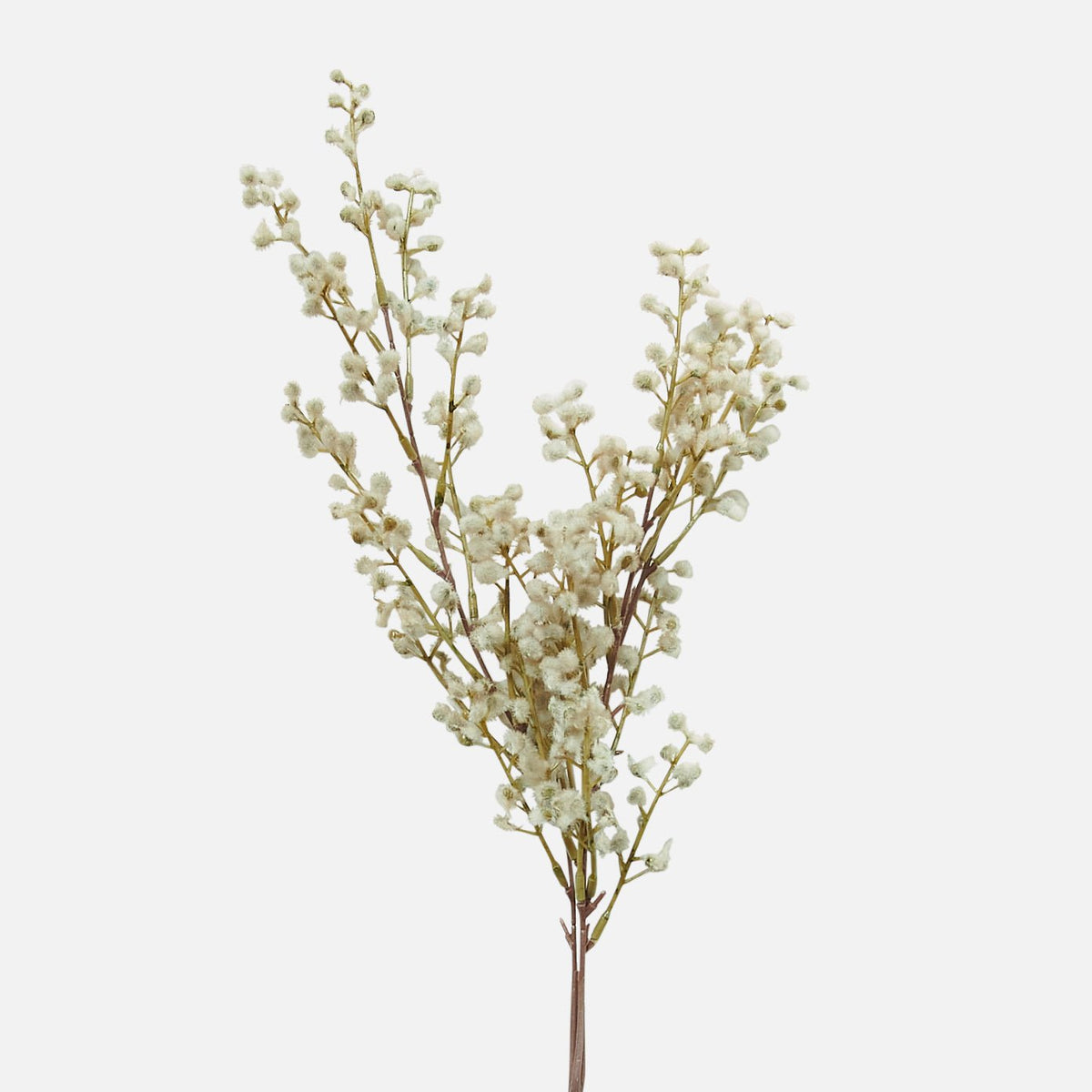 Artificial mimosa blush white faux fake flower stem botanical realistic Abigail Ahern home decor