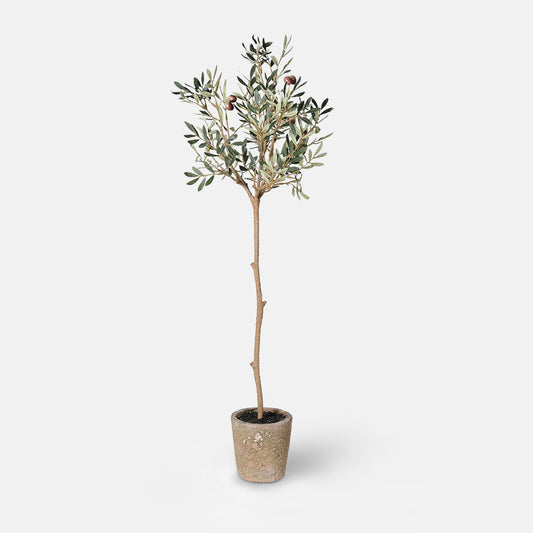 Small artificial olive tree with foliage and olives, set in small light brown stone-look pot.