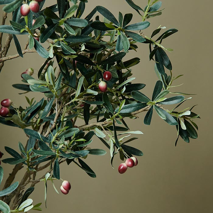 Green foliage on artificial olive tree plant.