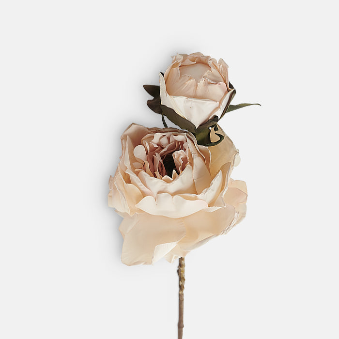 Artificial peony with two flower heads in creamy blush colour, on a brown resin stem.