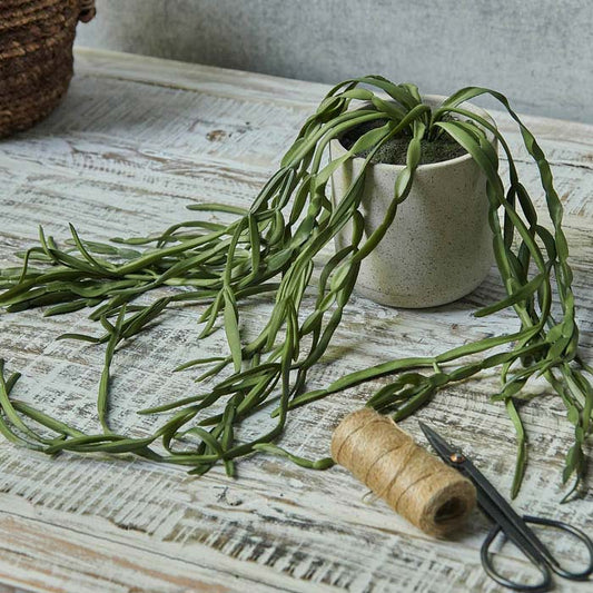 Long trailing green stems planted in a light grey pot next to scissors and a roll of string
