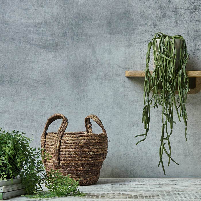 Long trailing green stems in a grey pot sat on a wooden shelf above a round basket
