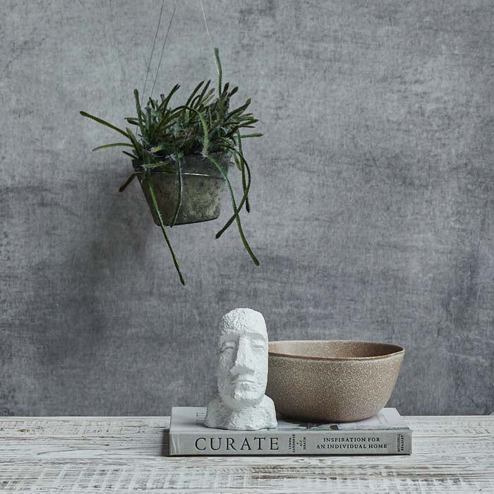 Artificial cactus in grey pot hanging above a white sculpture and brown bowl