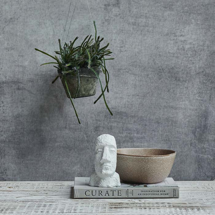 Artificial trailing cactus potted faux fake plant green succulent concrete pot realistic styled