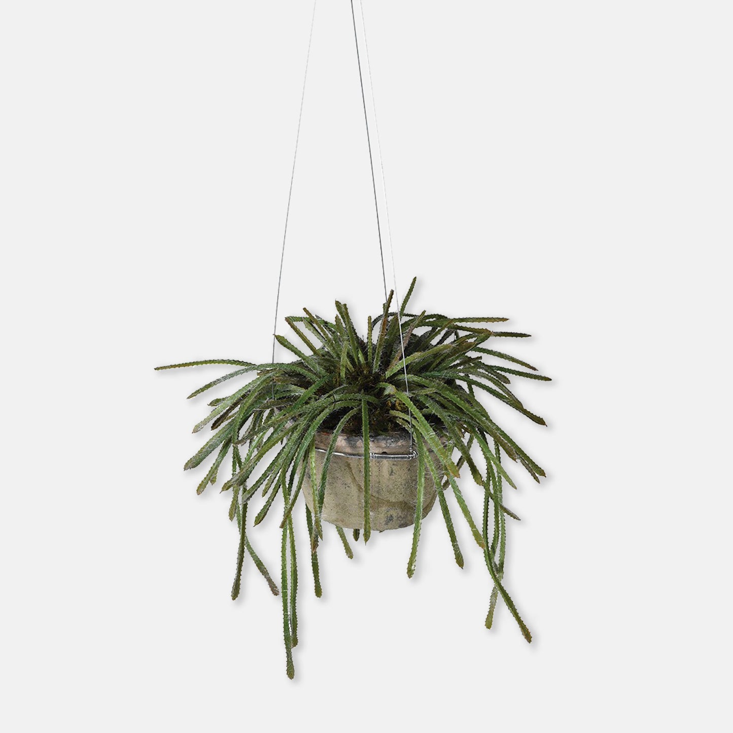 Artificial trailing cactus plant set in grey stone pot, with wires for hanging.